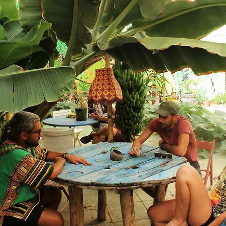 Hostel Tropical House Las Palmas de Gran Canaria