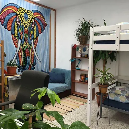 Hostal Tropical House Las Palmas de Gran Canaria