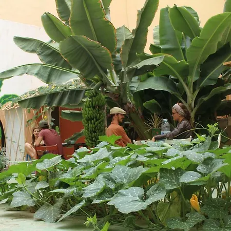 Hostal Tropical House